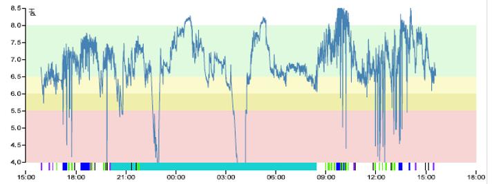 Ein Graph von einer Messung mit Restech