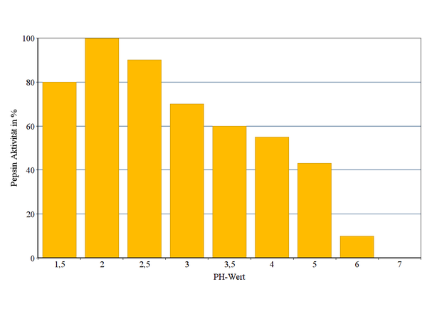 PH Pepsinaktivität