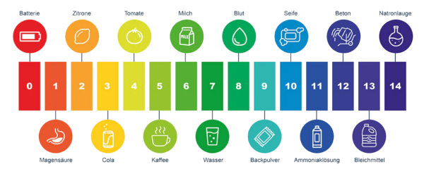 detaillierte pH Werte mit Skala und Beispielen
